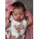 PRE-ORDEN kit TEDDY. Escultora Irina Kaplanskaya. Edición Limitada