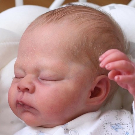 7 Marzo PRE-ORDEN Kit THEO, escultora Doris Moyers-Hornbogen