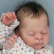 7 Marzo PRE-ORDEN Kit THEO, escultora Doris Moyers-Hornbogen