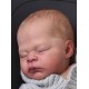 7 Marzo PRE-ORDEN Kit THEO, escultora Doris Moyers-Hornbogen