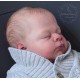 7 Marzo PRE-ORDEN Kit THEO, escultora Doris Moyers-Hornbogen
