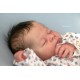 7 Marzo PRE-ORDEN Kit THEO, escultora Doris Moyers-Hornbogen