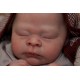 7 Marzo PRE-ORDEN Kit THEO, escultora Doris Moyers-Hornbogen