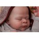 7 Marzo PRE-ORDEN Kit THEO, escultora Doris Moyers-Hornbogen