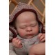 7 Marzo PRE-ORDEN Kit THEO, escultora Doris Moyers-Hornbogen