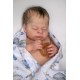 7 Marzo PRE-ORDEN Kit THEO, escultora Doris Moyers-Hornbogen
