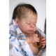 7 Marzo PRE-ORDEN Kit THEO, escultora Doris Moyers-Hornbogen