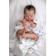 7 Marzo PRE-ORDEN Kit THEO, escultora Doris Moyers-Hornbogen