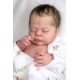 7 Marzo PRE-ORDEN Kit THEO, escultora Doris Moyers-Hornbogen