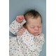 7 Marzo PRE-ORDEN Kit THEO, escultora Doris Moyers-Hornbogen