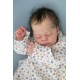 7 Marzo PRE-ORDEN Kit THEO, escultora Doris Moyers-Hornbogen