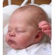 7 Marzo PRE-ORDEN Kit THEO, escultora Doris Moyers-Hornbogen