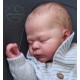 7 Marzo PRE-ORDEN Kit THEO, escultora Doris Moyers-Hornbogen