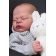 7 Marzo PRE-ORDEN Kit THEO, escultora Doris Moyers-Hornbogen