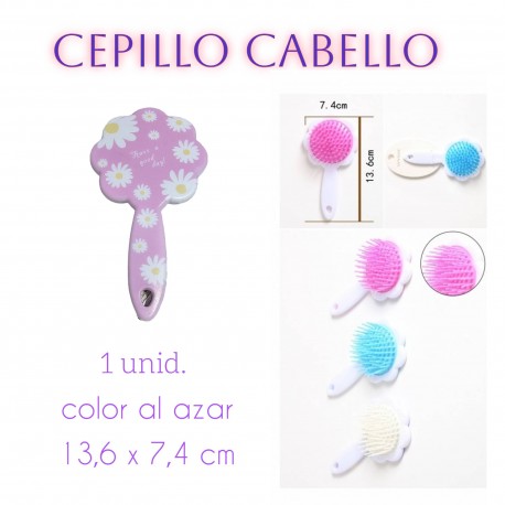 PEQUEÑO CEPILLO CABELLO.