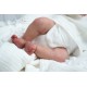KIT BELLAMY, escultora Elisa Marx. NO INCLUYE CUERPO