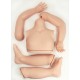 Kit ANGELICA, escultora Reva Schick. Incluye cuerpo y conectores. Mide aprox. 109 cm