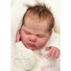 27 Octubre PRE-ORDEN kit HARRIET , Escultora CASSIE ANN LOVE . Cassie Brace (apellido casada).Edición Limitada