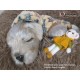 cachorro BENNY (Simon Laurens)