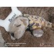 cachorro BENNY (Simon Laurens)