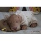 cachorro BENNY (Simon Laurens)
