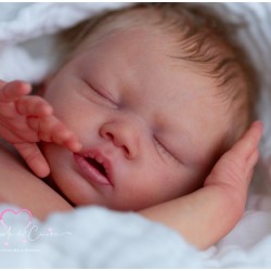 28 Febrero PRE-ORDEN kit AGNES. Escultora Priscila López.