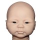 CABEZA Kit MAJARA (escultora Elisa Marx). No incluye extremidades.