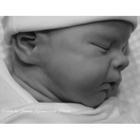 PROXIMAMENTE PRE-ORDE kit WILLOW. Escultora Joanna Kazmierczak-Pietka