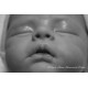 PROXIMAMENTE PRE-ORDE kit WILLOW. Escultora Joanna Kazmierczak-Pietka