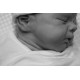 PROXIMAMENTE PRE-ORDE kit WILLOW. Escultora Joanna Kazmierczak-Pietka