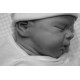 PROXIMAMENTE PRE-ORDE kit WILLOW. Escultora Joanna Kazmierczak-Pietka