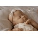 PRE-ORDEN kit MABEL (CON PLACA). Escultora Nikki Johnston
