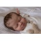 PRE-ORDEN kit MABEL (CON PLACA). Escultora Nikki Johnston