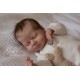PRE-ORDEN kit MABEL (CON PLACA). Escultora Nikki Johnston