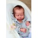 PRE-ORDEN kit MABEL (CON PLACA). Escultora Nikki Johnston