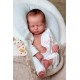 PRE-ORDEN kit MABEL (CON PLACA). Escultora Nikki Johnston
