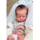 PRE-ORDEN kit MABEL (CON PLACA). Escultora Nikki Johnston