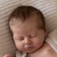 PRE-ORDEN kit MABEL (SIN PLACA). Escultora Nikki Johnston