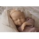 PRE-ORDEN kit MABEL (SIN PLACA). Escultora Nikki Johnston