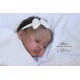 PRE-ORDEN kit MABEL (SIN PLACA). Escultora Nikki Johnston