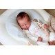 PRE-ORDEN kit MABEL (SIN PLACA). Escultora Nikki Johnston