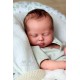 PRE-ORDEN kit MABEL (SIN PLACA). Escultora Nikki Johnston