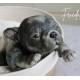 1 julio PRE-ORDEN Kit Cachorro FRIEDA (Simon Laurens).