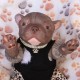 1 julio PRE-ORDEN Kit Cachorro FRIEDA (Simon Laurens).