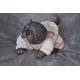 1 julio PRE-ORDEN Kit Cachorro FRIEDA (Simon Laurens).