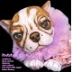 1 julio PRE-ORDEN Kit Cachorro FRIEDA (Simon Laurens).