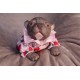 1 julio PRE-ORDEN Kit Cachorro FRIEDA (Simon Laurens).