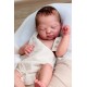 10 Agosto PRE-ORDEN kit LENNOX escultora CASSIE ANN LOVE. EDICION LIMITADA.