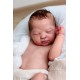 10 Agosto PRE-ORDEN kit LENNOX escultora CASSIE ANN LOVE. EDICION LIMITADA.
