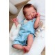 10 Agosto PRE-ORDEN kit LENNOX escultora CASSIE ANN LOVE. EDICION LIMITADA.